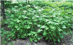 ?楡8犔e鄴(翿%?萼/?!座橘艡0?搷j挼z?z?b!p?Q15$镑b?~埀蓇的简单介绍